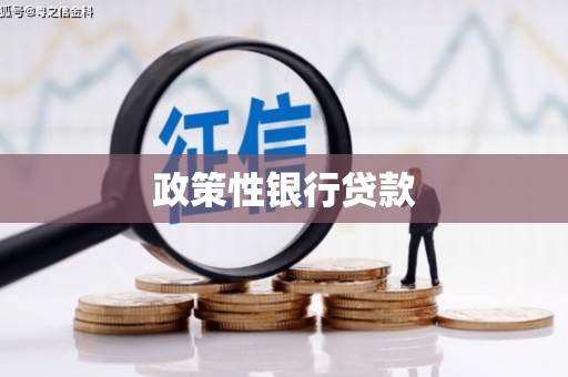 芮城政策性银行贷款