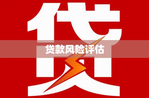 芮城贷款风险评估