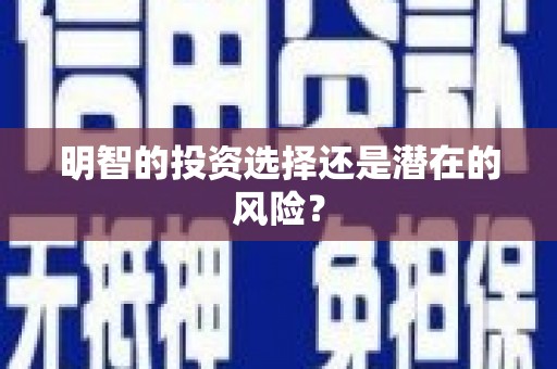 芮城明智的投资选择还是潜在的风险？
