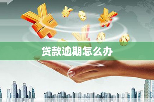 芮城贷款逾期怎么办