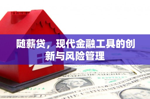 芮城随薪贷，现代金融工具的创新与风险管理