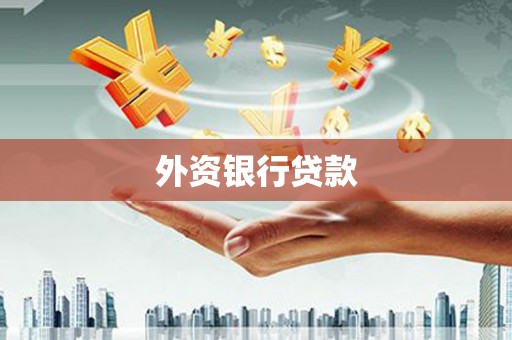芮城外资银行贷款