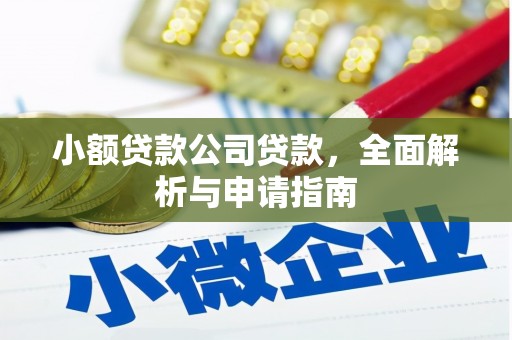 芮城小额贷款公司贷款，全面解析与申请指南