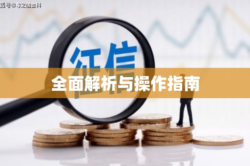 芮城全面解析与操作指南