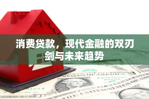 芮城消费贷款，现代金融的双刃剑与未来趋势