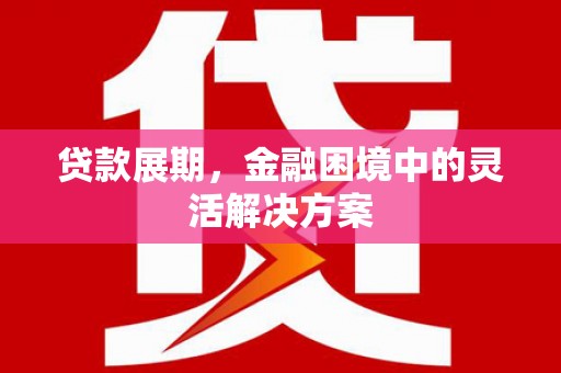 芮城贷款展期，金融困境中的灵活解决方案