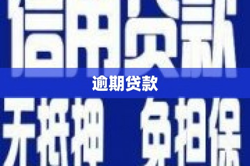 芮城逾期贷款