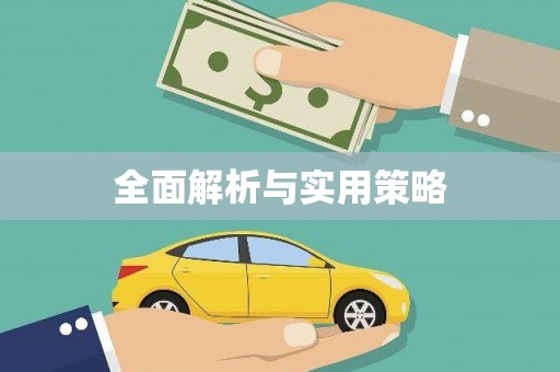 芮城全面解析与实用策略