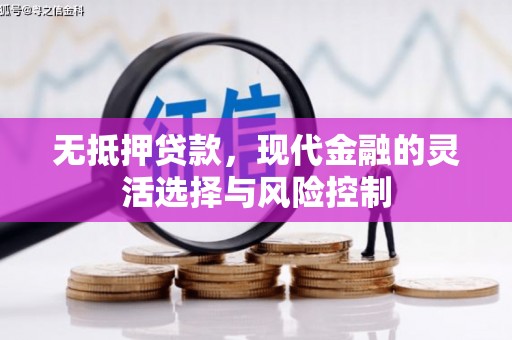 芮城无抵押贷款，现代金融的灵活选择与风险控制