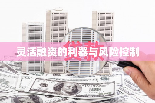 芮城灵活融资的利器与风险控制