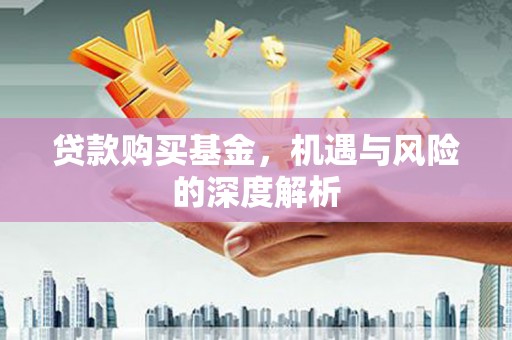芮城贷款购买基金，机遇与风险的深度解析