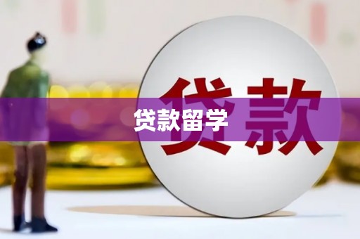芮城贷款留学
