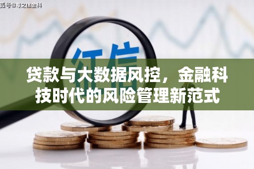 芮城贷款与大数据风控，金融科技时代的风险管理新范式