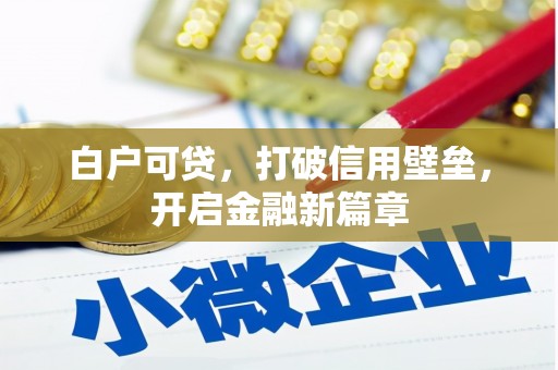 芮城白户可贷，打破信用壁垒，开启金融新篇章
