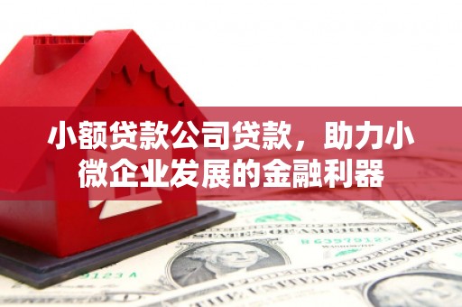 芮城小额贷款公司贷款，助力小微企业发展的金融利器