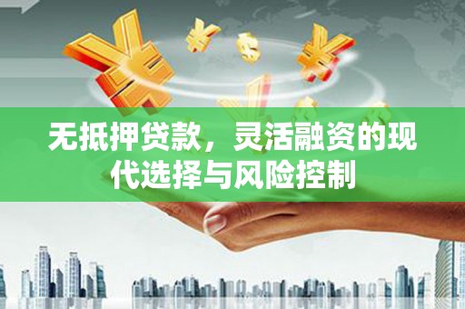 芮城无抵押贷款，灵活融资的现代选择与风险控制