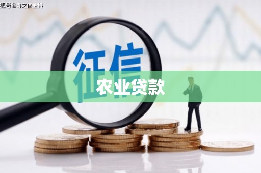 芮城农业贷款