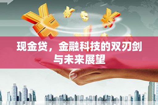 芮城现金贷，金融科技的双刃剑与未来展望