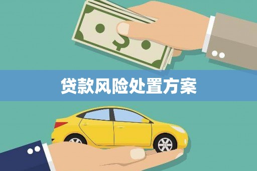 芮城贷款风险处置方案