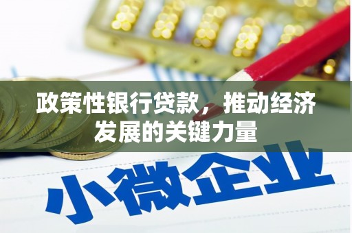 芮城政策性银行贷款，推动经济发展的关键力量