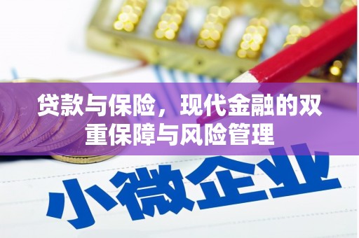 芮城贷款与保险，现代金融的双重保障与风险管理