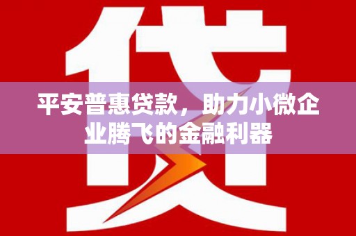 芮城平安普惠贷款，助力小微企业腾飞的金融利器