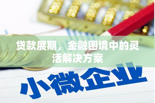 芮城贷款展期，金融困境中的灵活解决方案