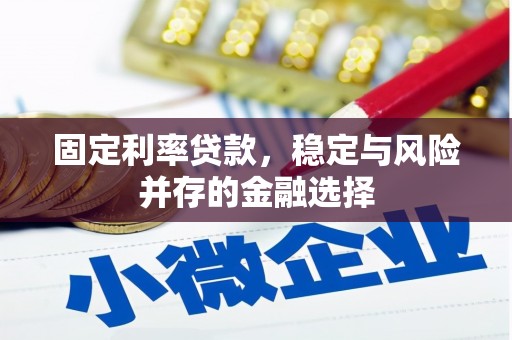 芮城固定利率贷款，稳定与风险并存的金融选择