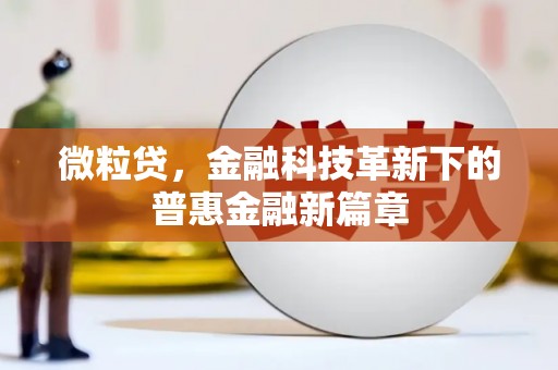 芮城微粒贷，金融科技革新下的普惠金融新篇章