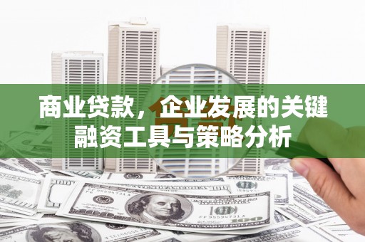 芮城商业贷款，企业发展的关键融资工具与策略分析