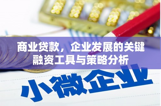 芮城商业贷款，企业发展的关键融资工具与策略分析