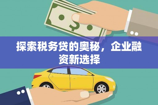 芮城探索税务贷的奥秘，企业融资新选择