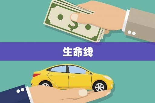 芮城生命线