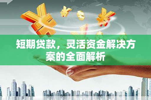 芮城短期贷款，灵活资金解决方案的全面解析