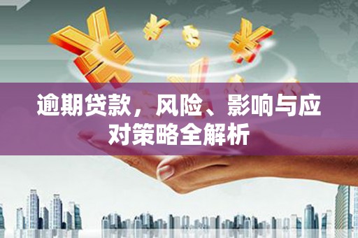 芮城逾期贷款，风险、影响与应对策略全解析
