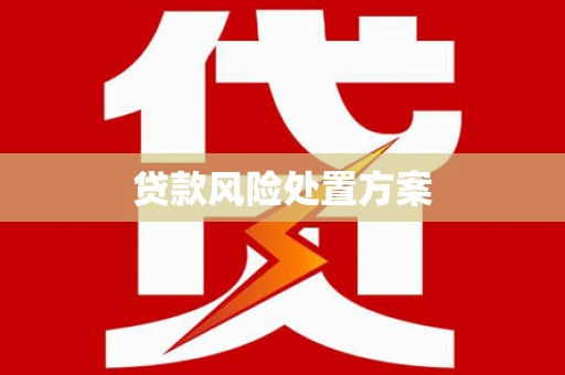 芮城贷款风险处置方案