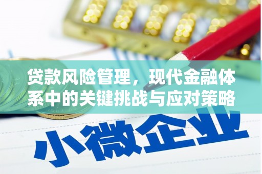 芮城贷款风险管理，现代金融体系中的关键挑战与应对策略