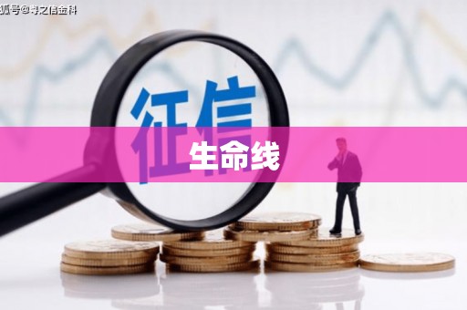 芮城生命线