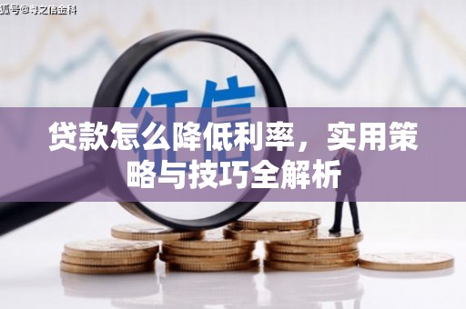 芮城贷款怎么降低利率，实用策略与技巧全解析