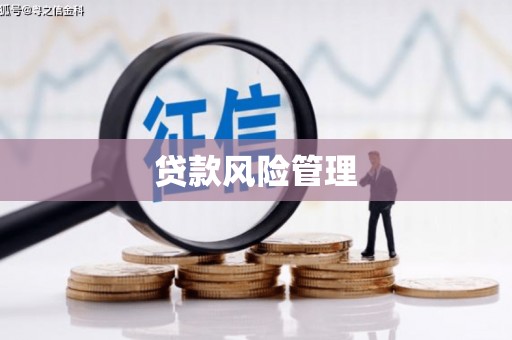 芮城贷款风险管理