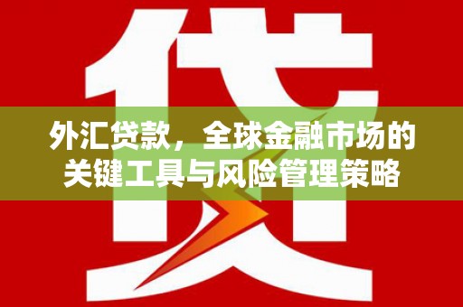 芮城外汇贷款，全球金融市场的关键工具与风险管理策略