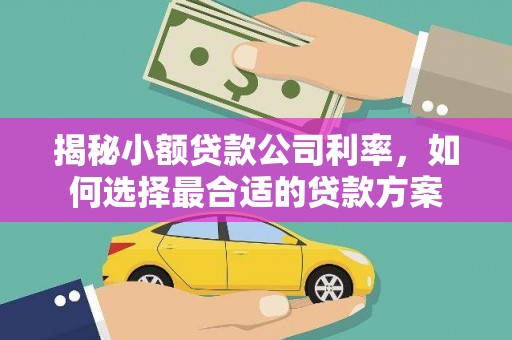芮城揭秘小额贷款公司利率，如何选择最合适的贷款方案
