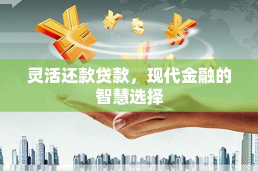 芮城灵活还款贷款，现代金融的智慧选择