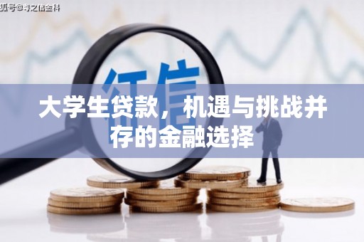 芮城大学生贷款，机遇与挑战并存的金融选择