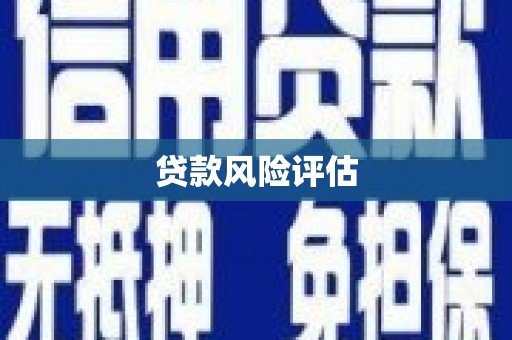芮城贷款风险评估