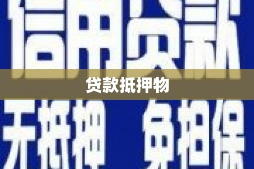 芮城贷款抵押物