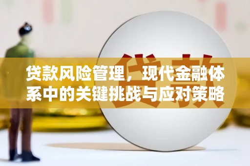 芮城贷款风险管理，现代金融体系中的关键挑战与应对策略