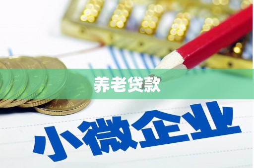 芮城养老贷款