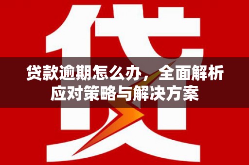 芮城贷款逾期怎么办，全面解析应对策略与解决方案