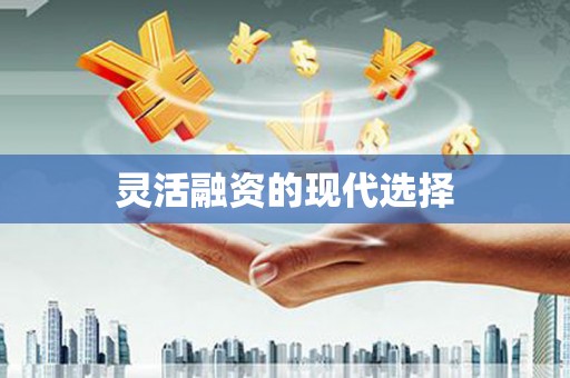芮城灵活融资的现代选择